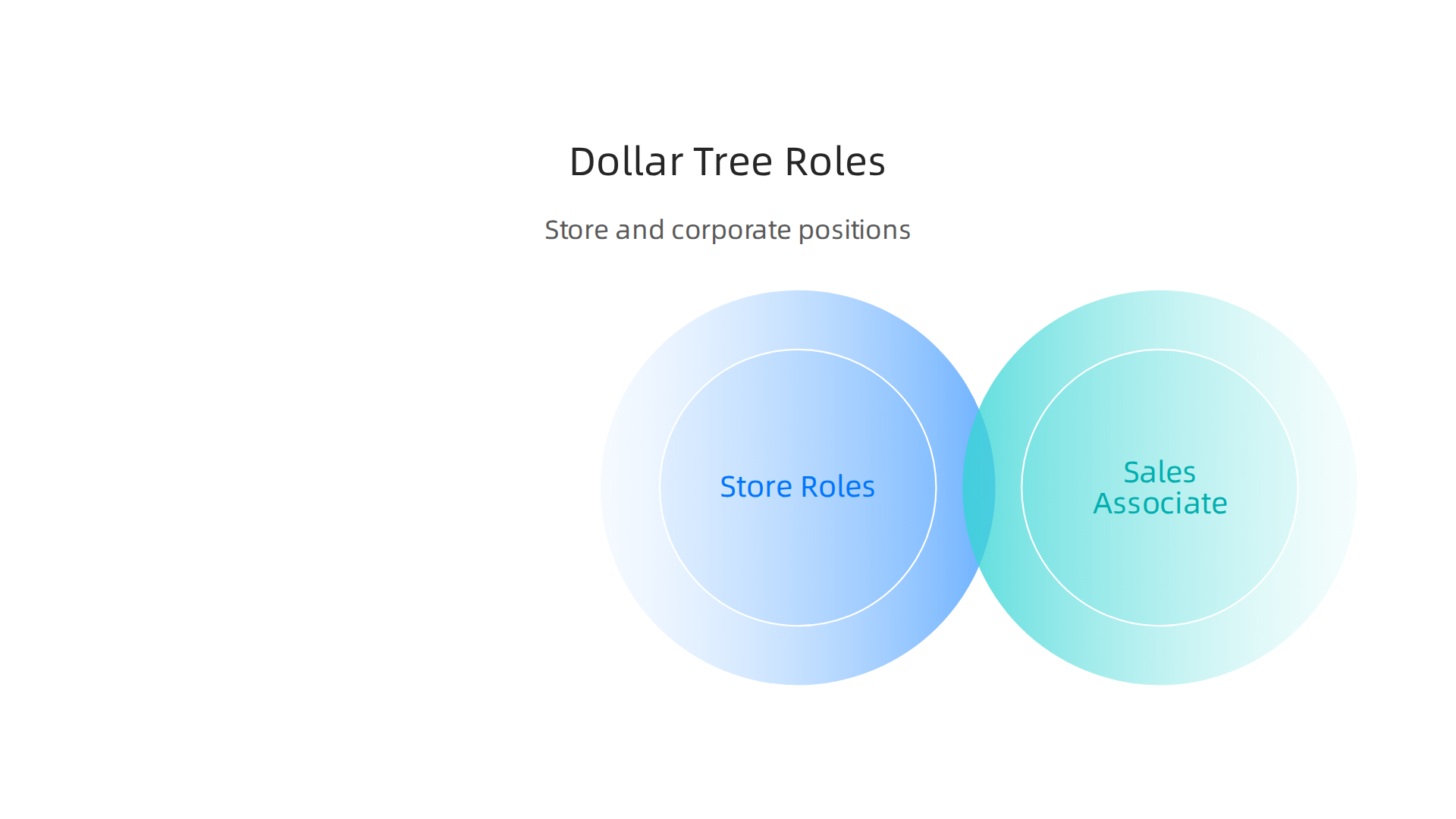 Explore common Dollar Tree roles, including store-level positions like Sales Associate and Store Manager, alongside key corporate and distribution center functions.